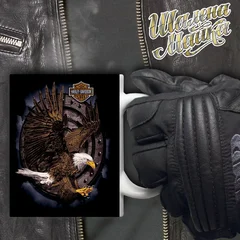 moto, bike, мото, мотоцикл